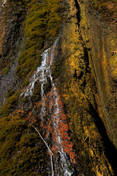 Similar image 21973422