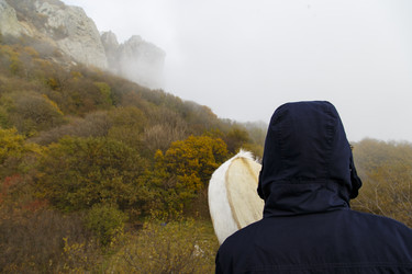 Similar image 21973431