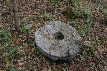 Similar image 21973432