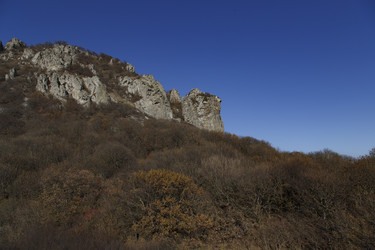 Similar image 21973435