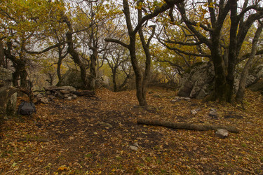 Similar image 21973436