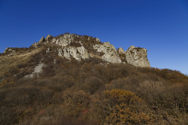 Similar image 21973437