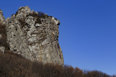 Similar image 21973439