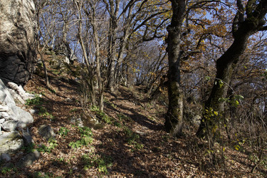 Similar image 21973441