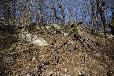 Similar image 21973443