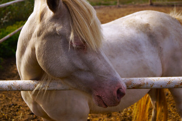 Similar image 21971051