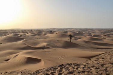 Similar image 21971261