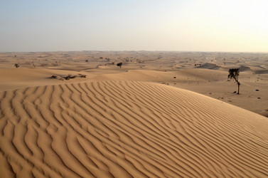 Similar image 21971263