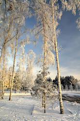 Similar image 21971274