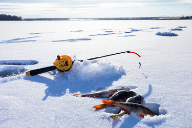 Similar image 21971068