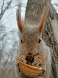 Similar image 21971071