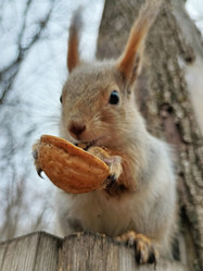 Similar image 21971072