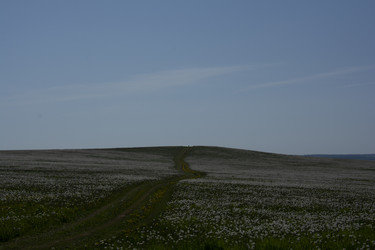 Similar image 21971276