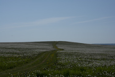 Similar image 21971277