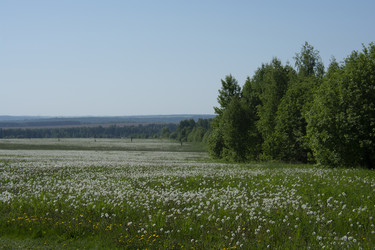 Similar image 21971278