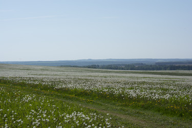 Similar image 21971281