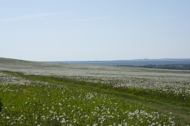 Similar image 21971282