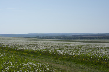 Similar image 21971283