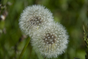 Similar image 21971284