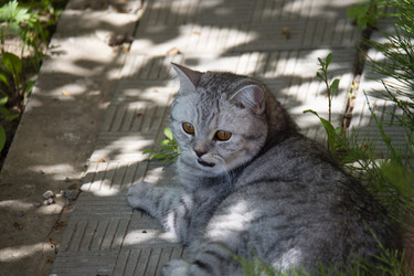 Similar image 21971285