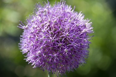 Similar image 21971286