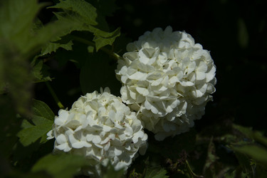 Similar image 21971287