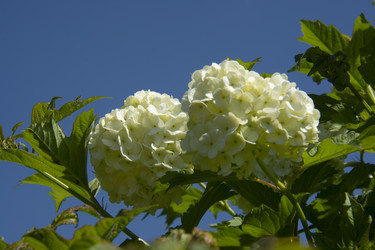 Similar image 21971288