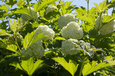 Similar image 21971289