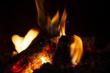 Similar image 21971293