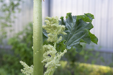 Similar image 21971295