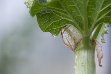 Similar image 21971296