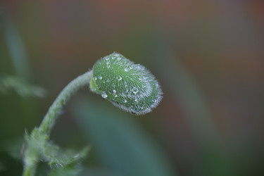 Similar image 21971298