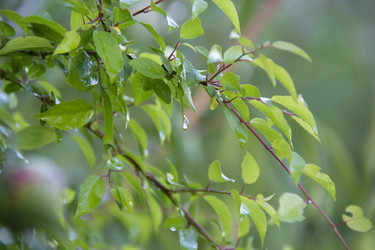 Similar image 21971300