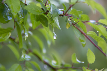 Similar image 21971301