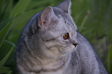 Similar image 21971302