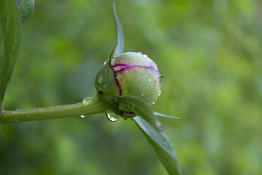 Similar image 21971303