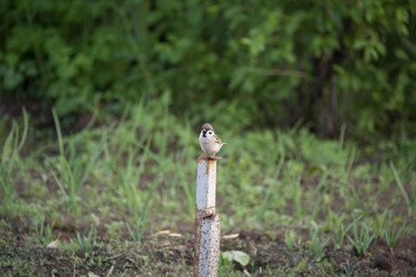 Similar image 21971304