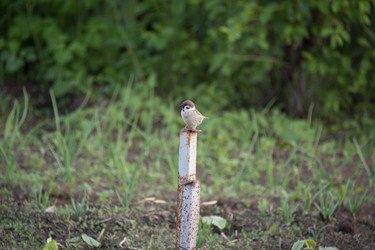 Similar image 21971305