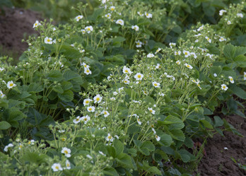 Similar image 21971306