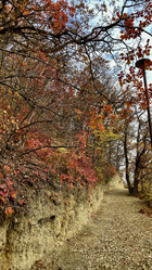 Similar image 21971074