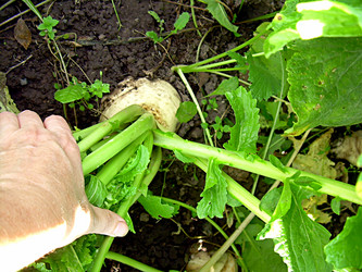 Similar image 21971309