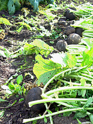 Similar image 21971311