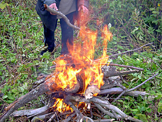 Similar image 21971436