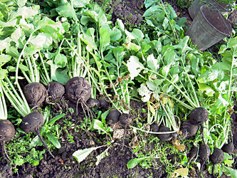 Similar image 21971437