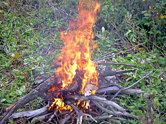 Similar image 21971438