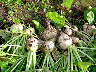 Similar image 21971441