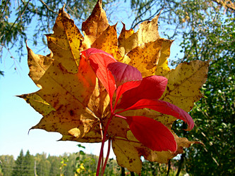 Similar image 21971443