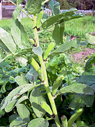 Similar image 21971445