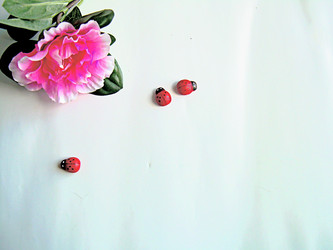 Similar image 21971446