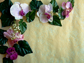 Similar image 21971451